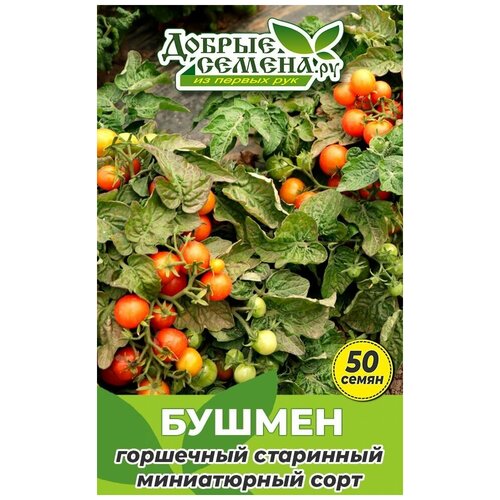 Семена томата Бушмен - 50 шт - Добрые Семена. ру семена томата бушмен 50 шт добрые семена ру