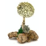 Дерево с кроной из белой цетрарии (18 см) - изображение