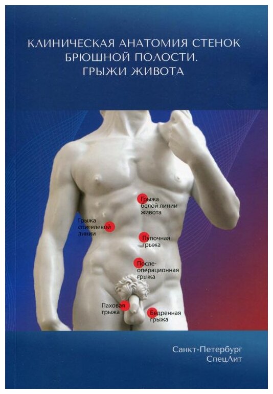 Клиническая анатомия стенок брюшной полости. Грыжи живота - фото №1