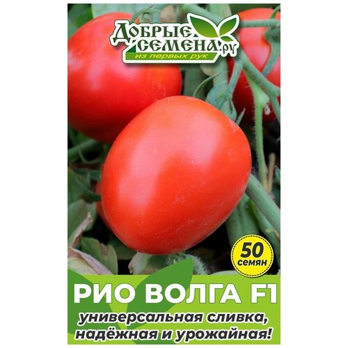Семена томата Рио Волга F1 - 50 шт - Добрые Семена. ру