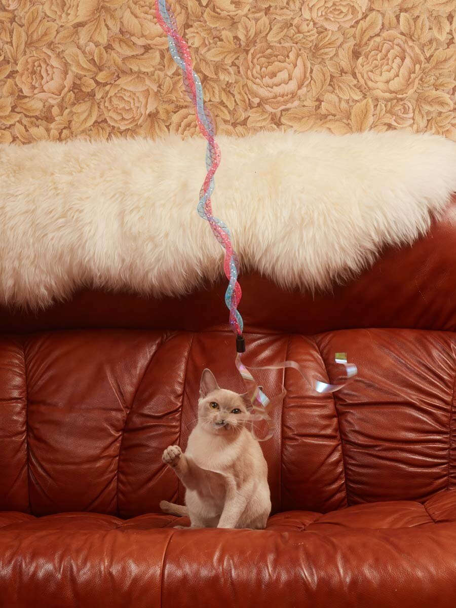 Игрушка для кошек Japan Premium Pet эластичная дразнилка с перьями, жемчужными блестящими ленточками и колокольчиками внутри. Розово-голубой цвет - фотография № 4