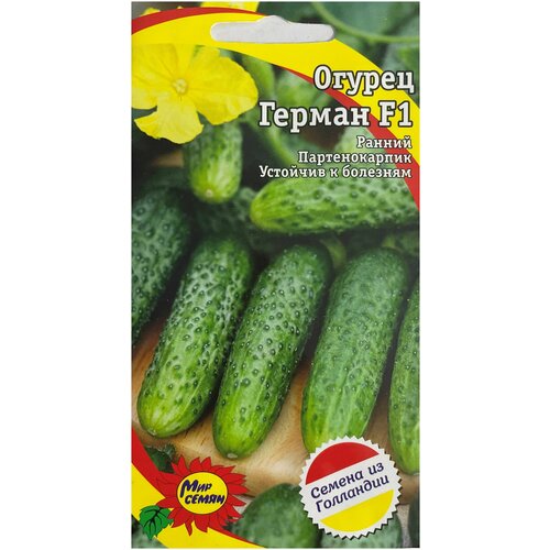 Огурец Герман F1 семена