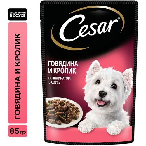 Влажный корм для собак Cesar с говядиной кроликом и шпинатом в соусе 85г cesar полнорационный влажный корм для собак с говядиной кроликом и шпинатом кусочки в соусе в паучах 85 г