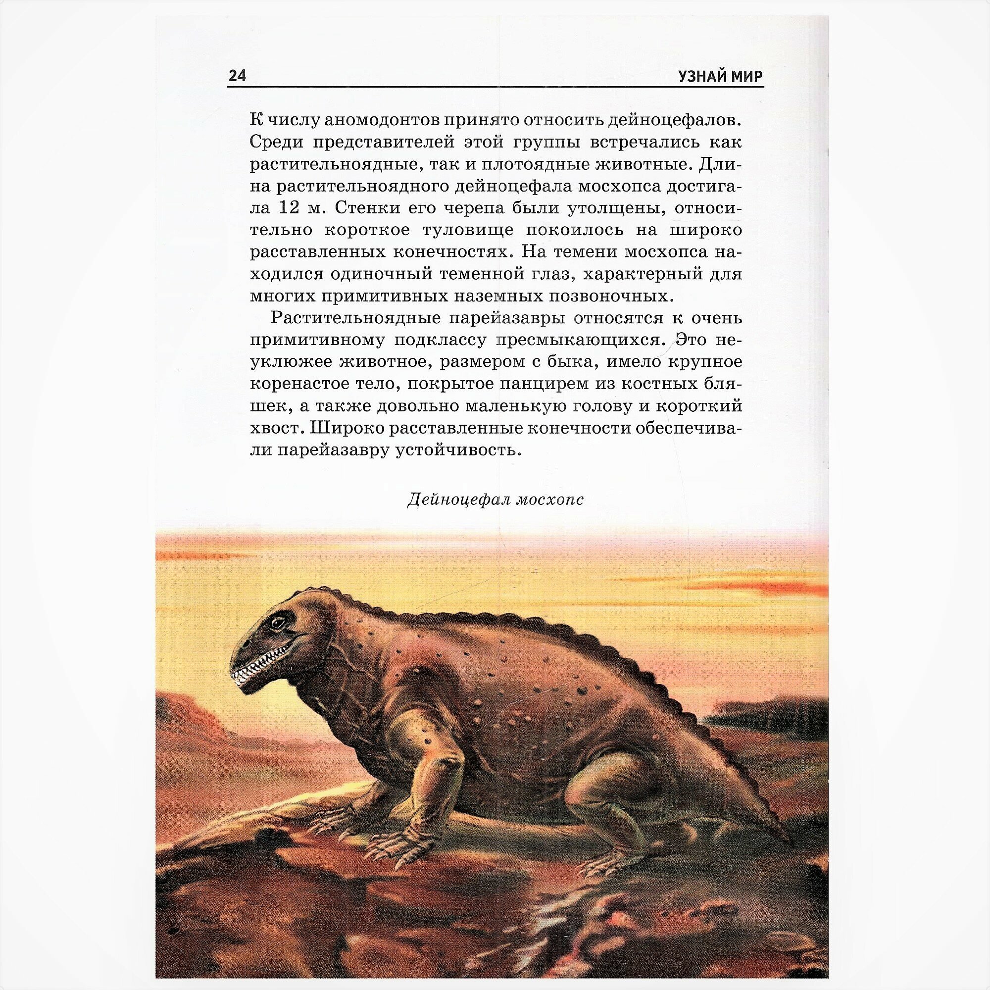 Динозавры. Школьный путеводитель - фото №5