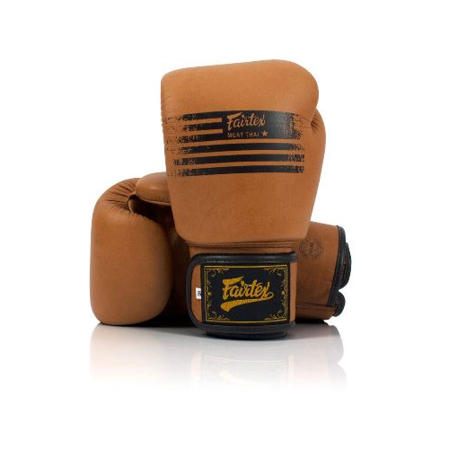 Боксерские перчатки Fairtex BGV21 Legasy (14 унций)