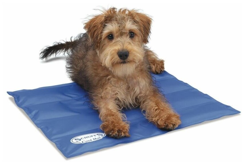 Охлаждающий коврик для собак SCRUFFS "Cool Mat", голубой, 50*40см (Великобритания)