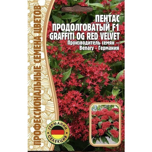 Пентас Продолговатый F1 Graffiti Og red Velvet, 1 пакет, семена 3шт, многолетнее растение