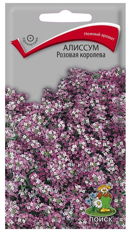 Алиссум Розовая королева 0,3г Одн 12см (Поиск)