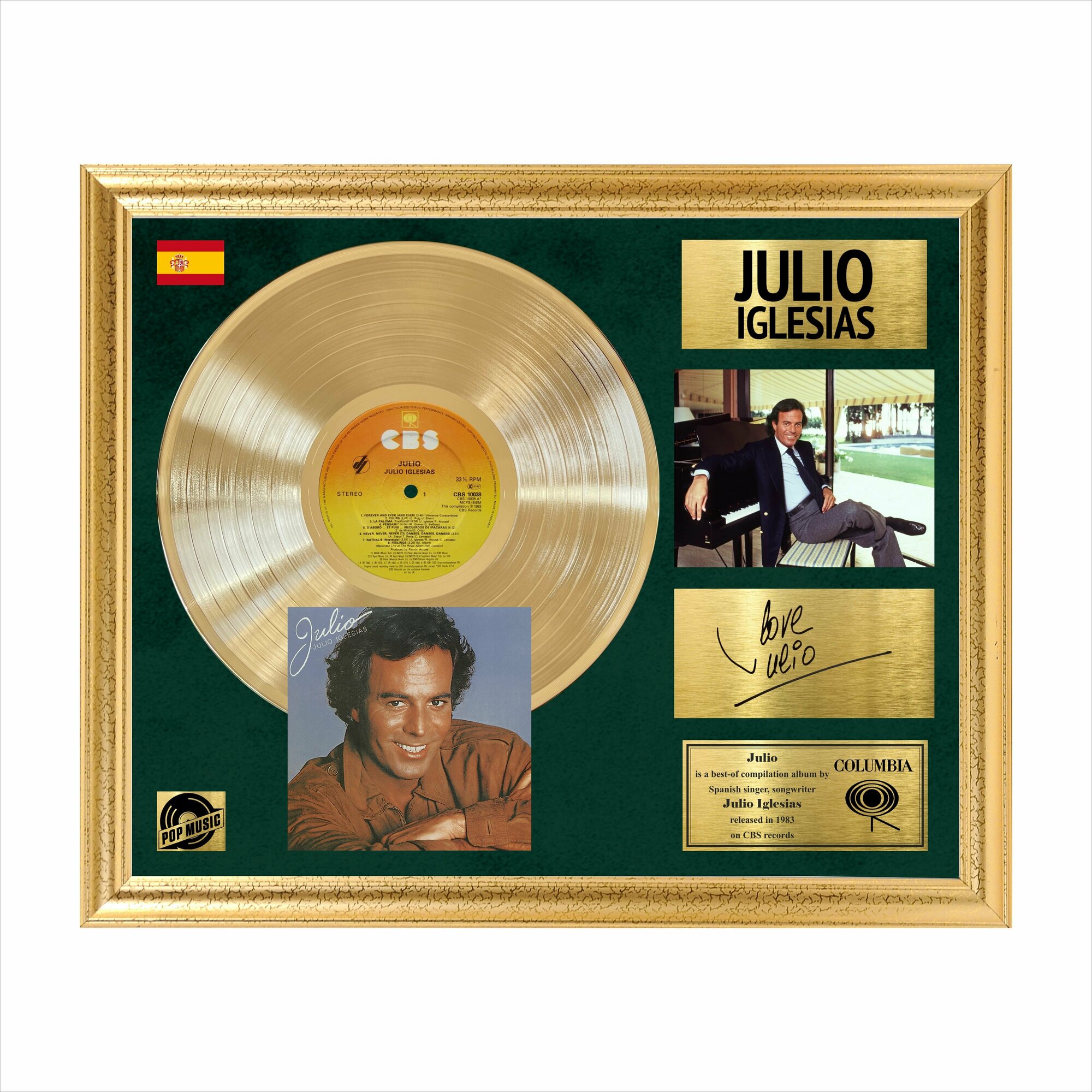 Julio Iglesias Julio золотая пластинка в рамке