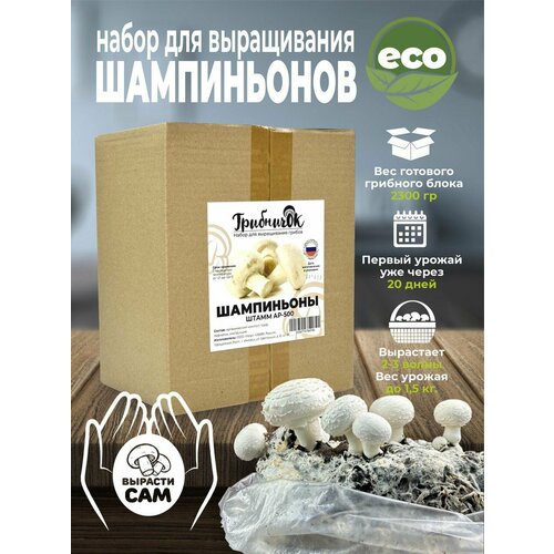 Набор для выращивания грибов шампиньонов домашняя грибница мицелий