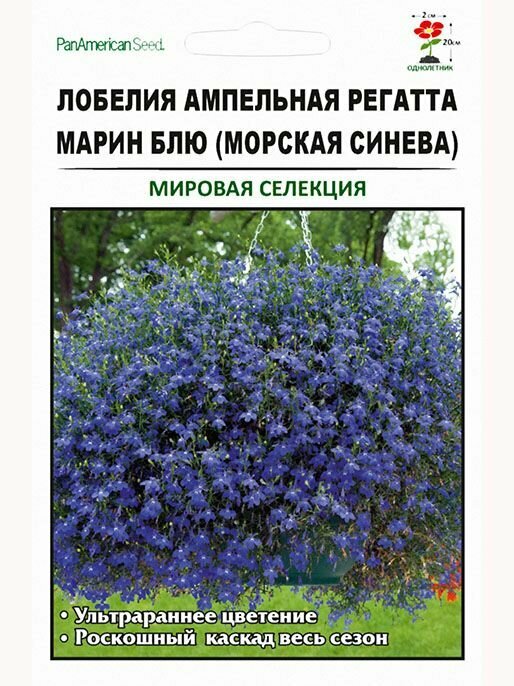 Лобелия ампельная Регатта Марин Блю