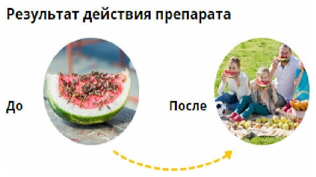 Средство против ос и различных видов мух. - фотография № 3