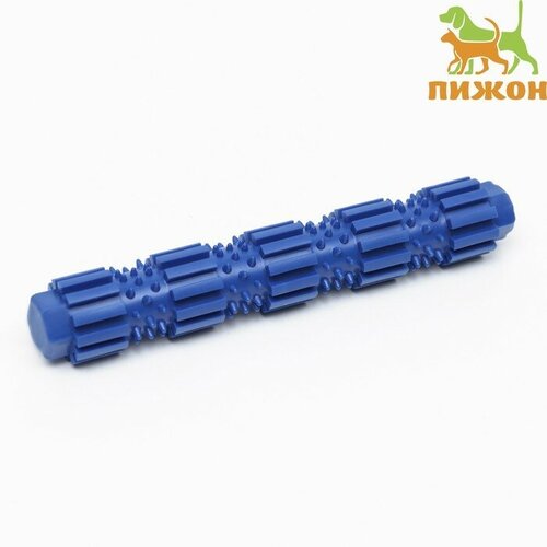Игрушка жевательная для собак Палка с шипами, TPR, 18 см, синяя