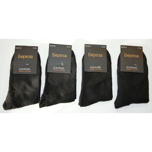 Носки  унисекс Береза, 4 пары, классические, размер 40-45, черный