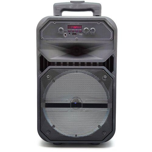 Большая Колонка портативная блютуз громкая Bluetooth Активная напольная акустика JBK-0809 627700₽