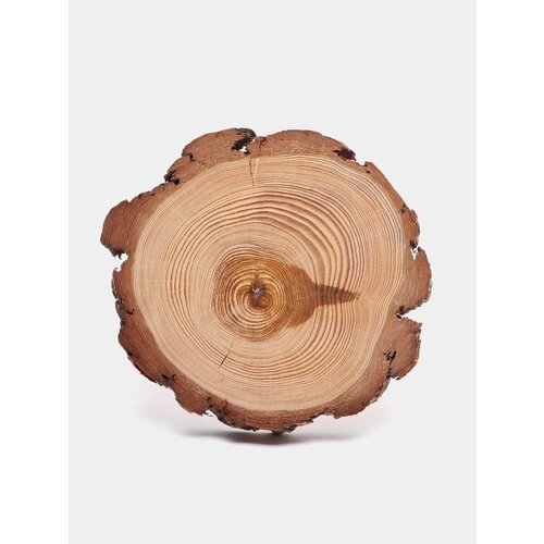 Спил сосны, спил дерева, высушенный, идеально отшлифованный с обеих сторон, диаметр 14-15 см.