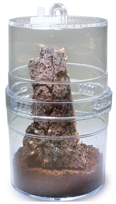 LUCKY REPTILE Террариум Инсектарий "Critter Box", 13.5х20см (Германия) - фото №3