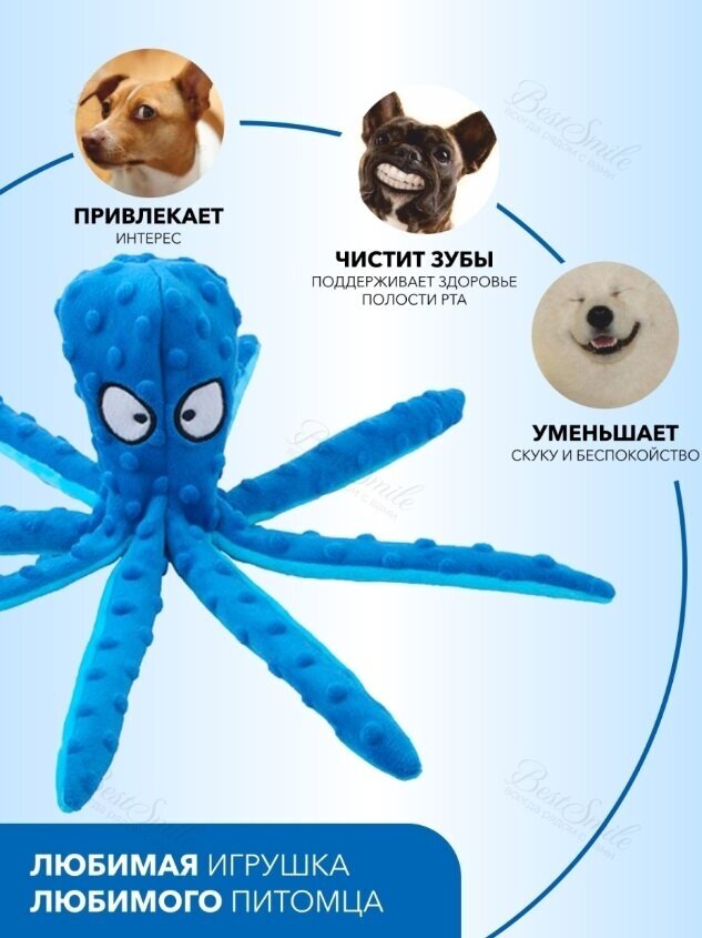 Мягкие игрушки для собак шуршащие, осьминог синий - фотография № 2