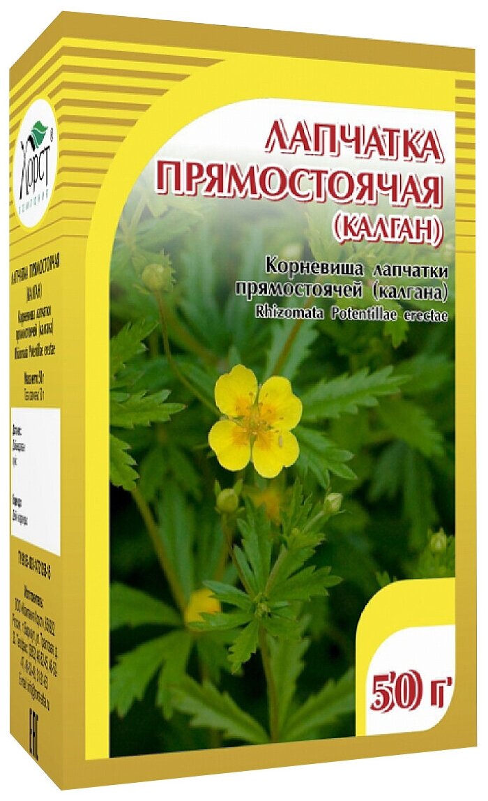 Лапчатка прямостоячая купить в воронеже — купить по низкой цене на ...