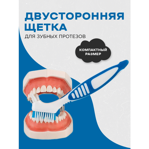 Щетка для очистки зубных протезов (бело-синяя) контейнер для хранения кап брекетов пластинок и зубных протезов футляр для протезов кап брекетов