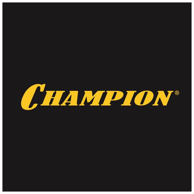 Масло для 4-тактных двигателей синтетическое зимнее CHAMPION B&S SAE 5W30 1л