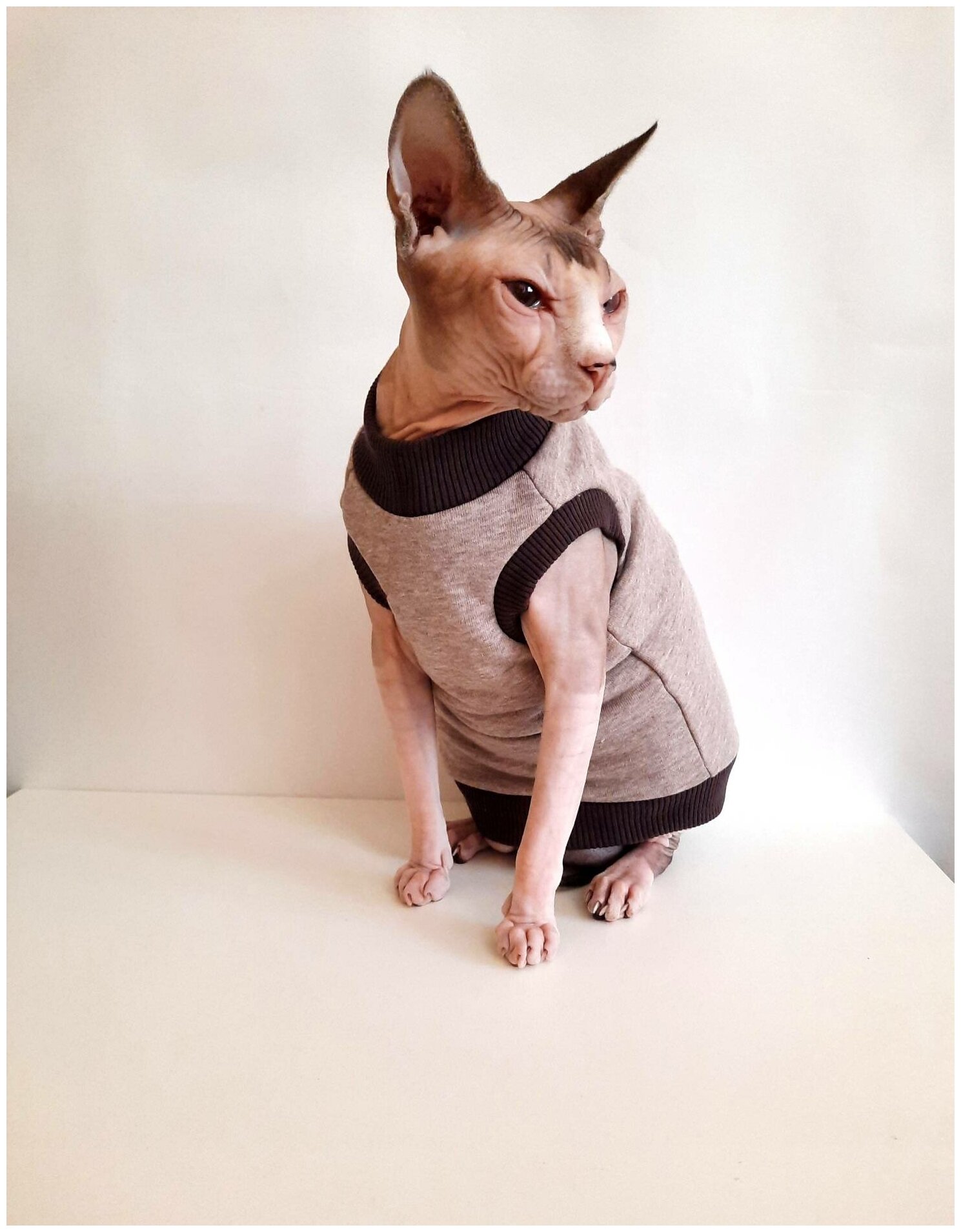 Свитшот для кошек, размер 30 (длина спины 30см), бежевый меланж+шоколад/ толстовка свитшот свитер для кошек сфинкс / одежда для животных - фотография № 2