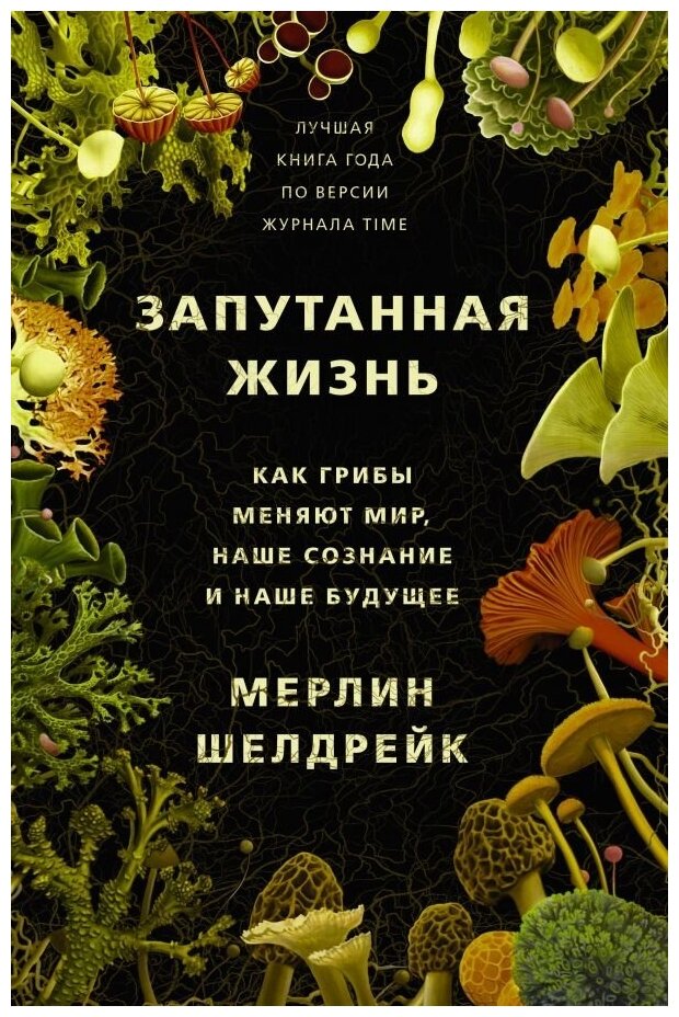 Запутанная жизнь. Как грибы меняют мир, наше сознание и наше будущее - фото №1