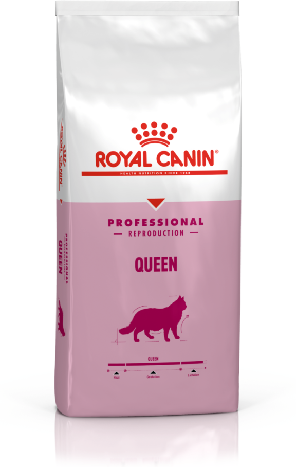 Сухой корм Royal Canin Queen для кошек в период течки, беременности и лактации - 4 кг