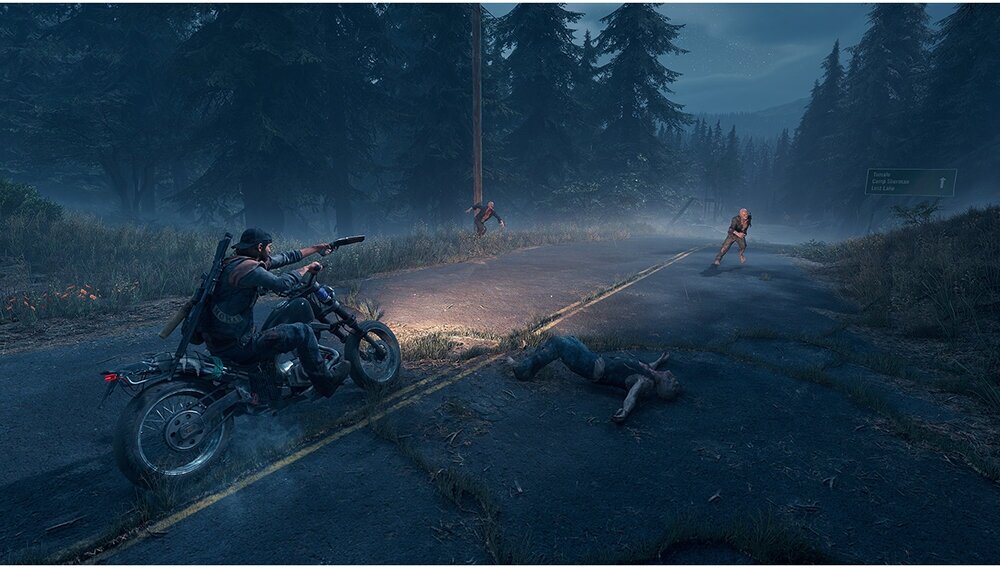 Игра Days Gone