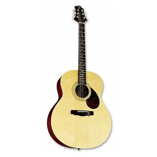 GregBennett GJ100S/N акустическая гитара