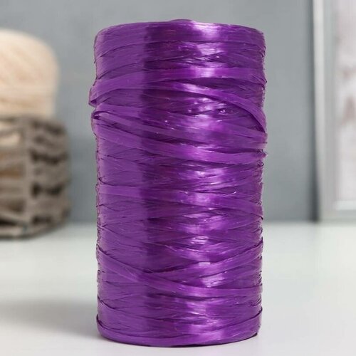Пряжа - Для вязания мочалок, 100% полипропилен, 300м/75гр, №2-3, цвет фиолетовый - баклажан, 5 шт.