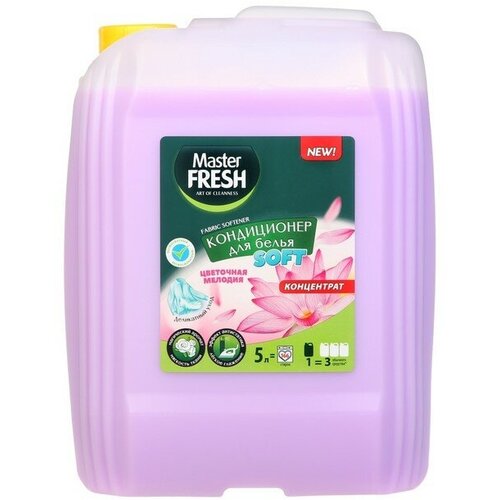 Master Fresh Кондиционер для белья Master FRESH «Цветочная мелодия», концентрат, 5 л