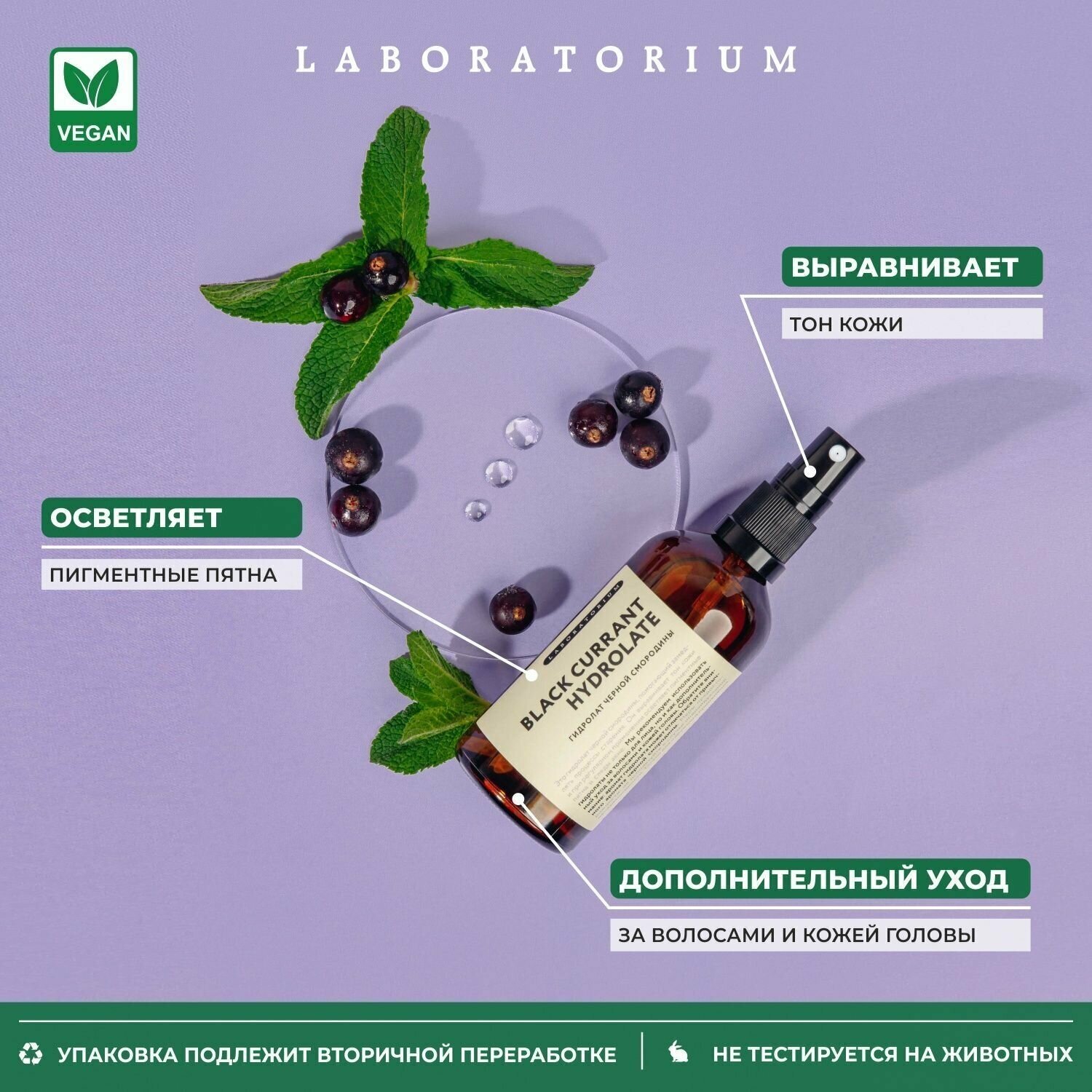 Laboratorium Гидролат чёрной смородины 90мл — фото 1