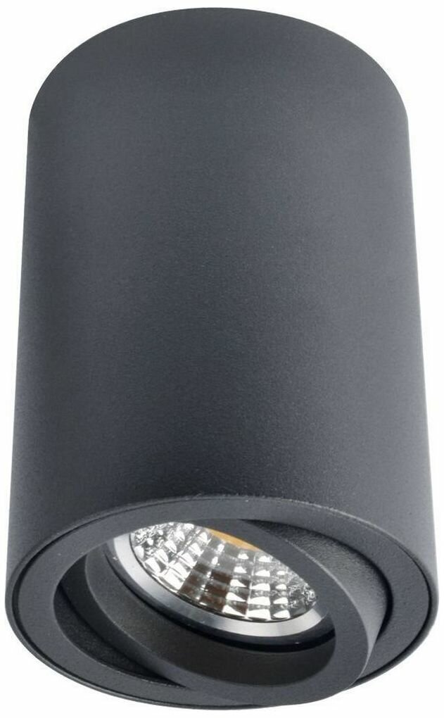 Потолочный светильник ARTE Lamp SENTRY A1560PL-1BK