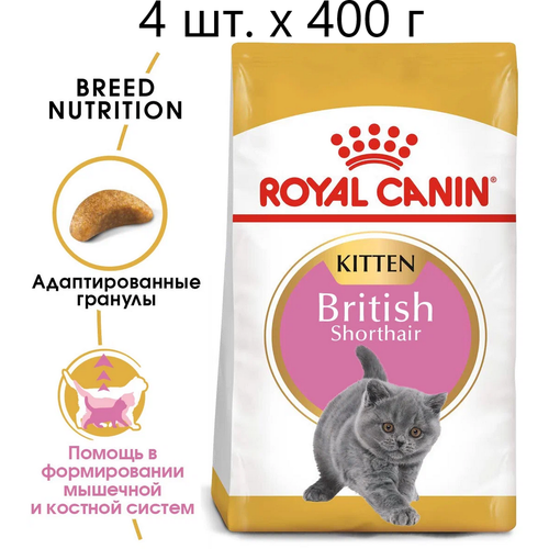 Сухой корм для котят Royal Canin British Shorthair Kitten, для котят породы британская короткошерстная, 4 шт. х 400 г