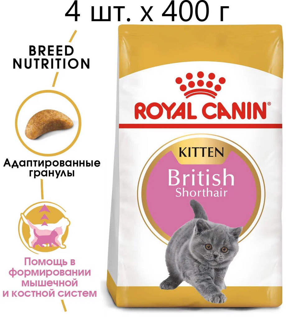 Сухой корм для котят Royal Canin British Shorthair Kitten, для котят породы британская короткошерстная, 4 шт. х 400 г