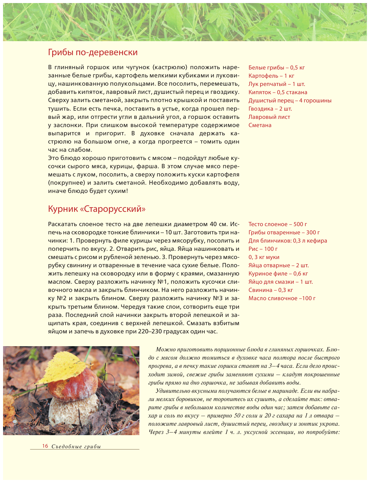 Лесные грибы. Иллюстрированная энциклопедия с рецептами - фото №17