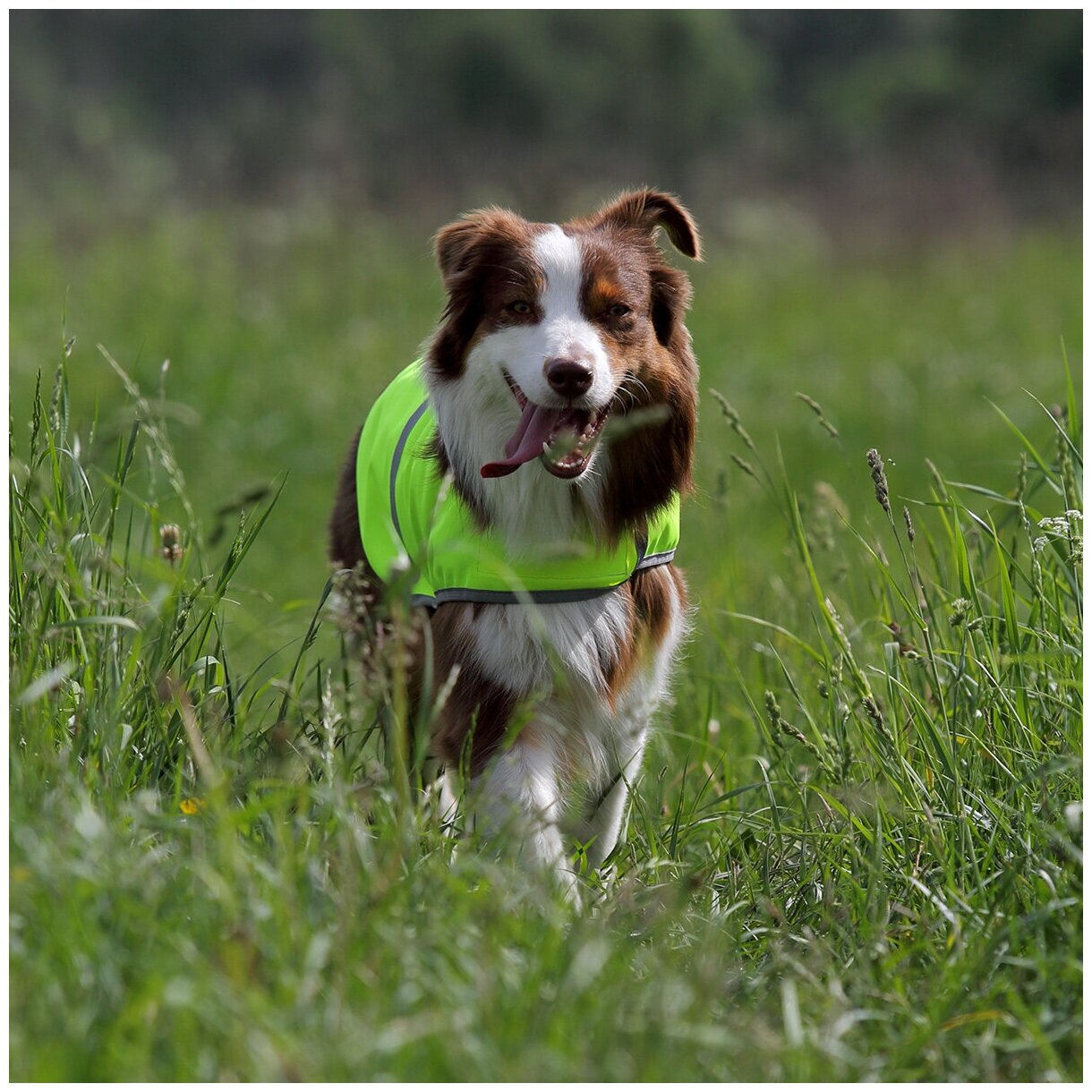 OSSO FASHION попона сигнальная для собак желтая (70) - фотография № 3