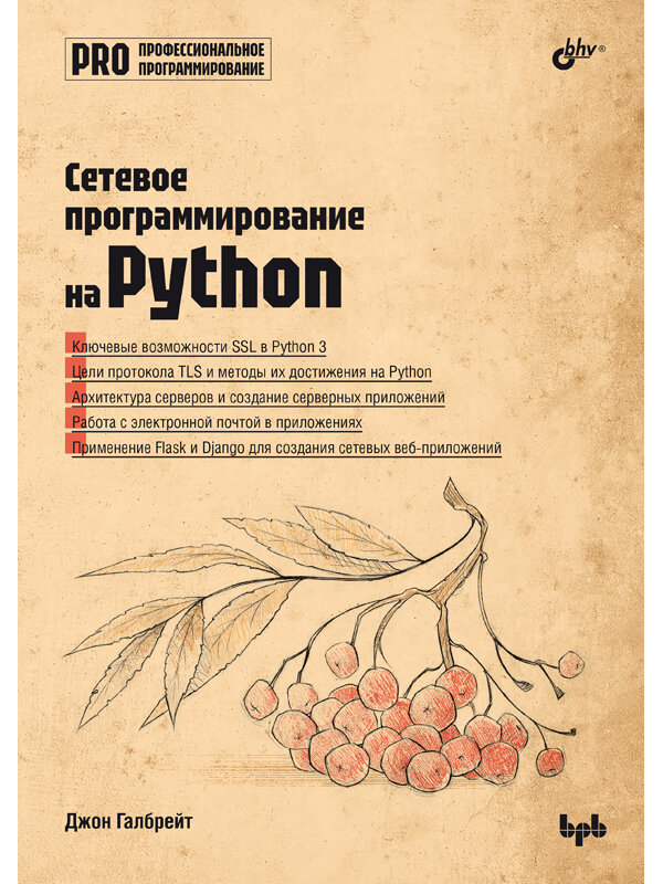 Сетевое программирование Python