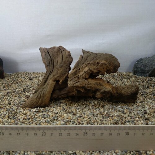 Коряга натуральная