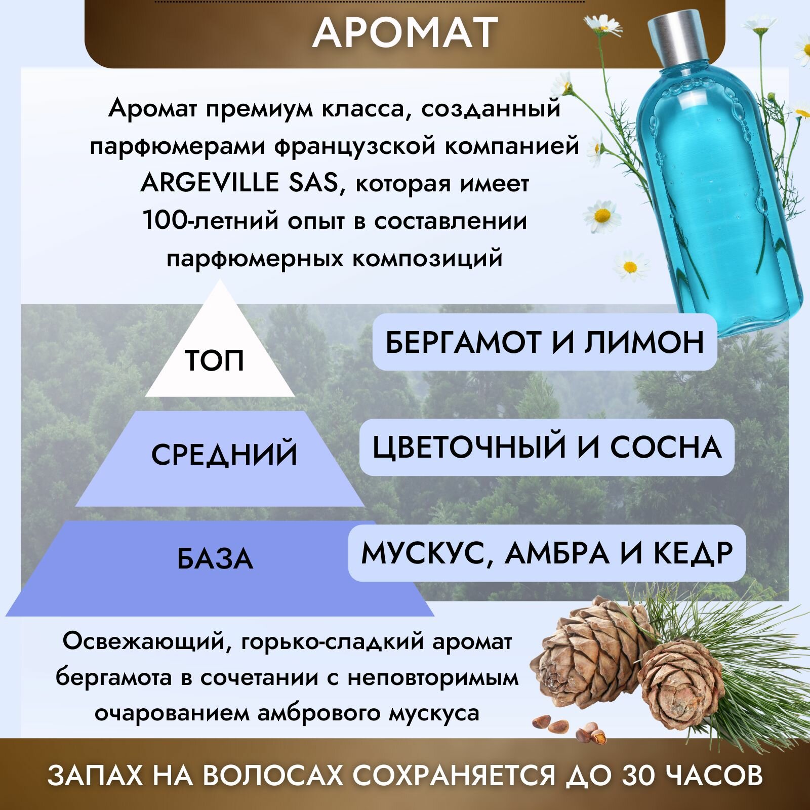 Обзор: JMsolution Шампунь для волос бергамот Disney LIFE DISNEY COLLECTION BERGAMOT BEACH SHAMPOO, 500 мл