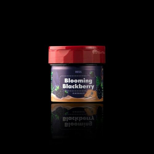 Корм для фруктоядных и всеядных рептилий RESS Blooming Blackberry