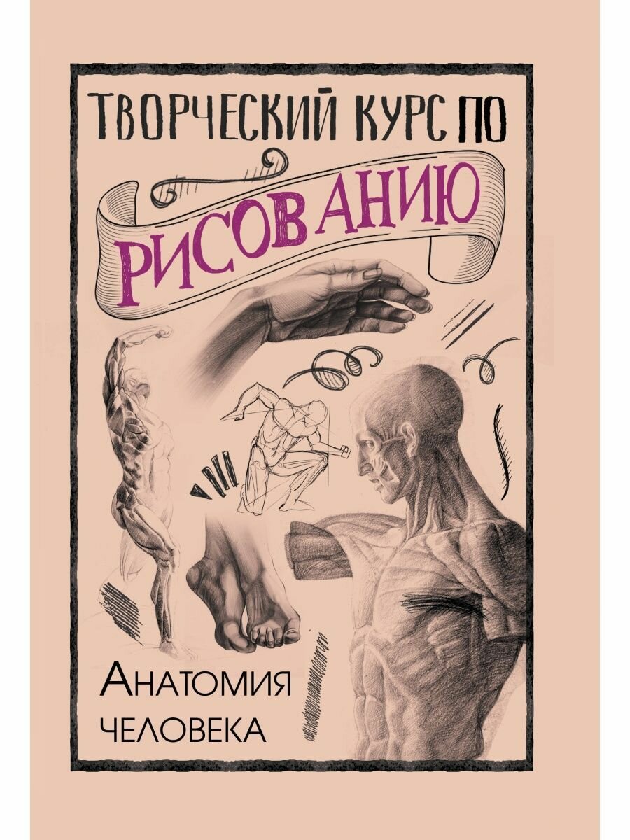 Творческий курс по рисованию. Анатомия