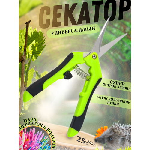 Ножницы садовые для цветов и растений