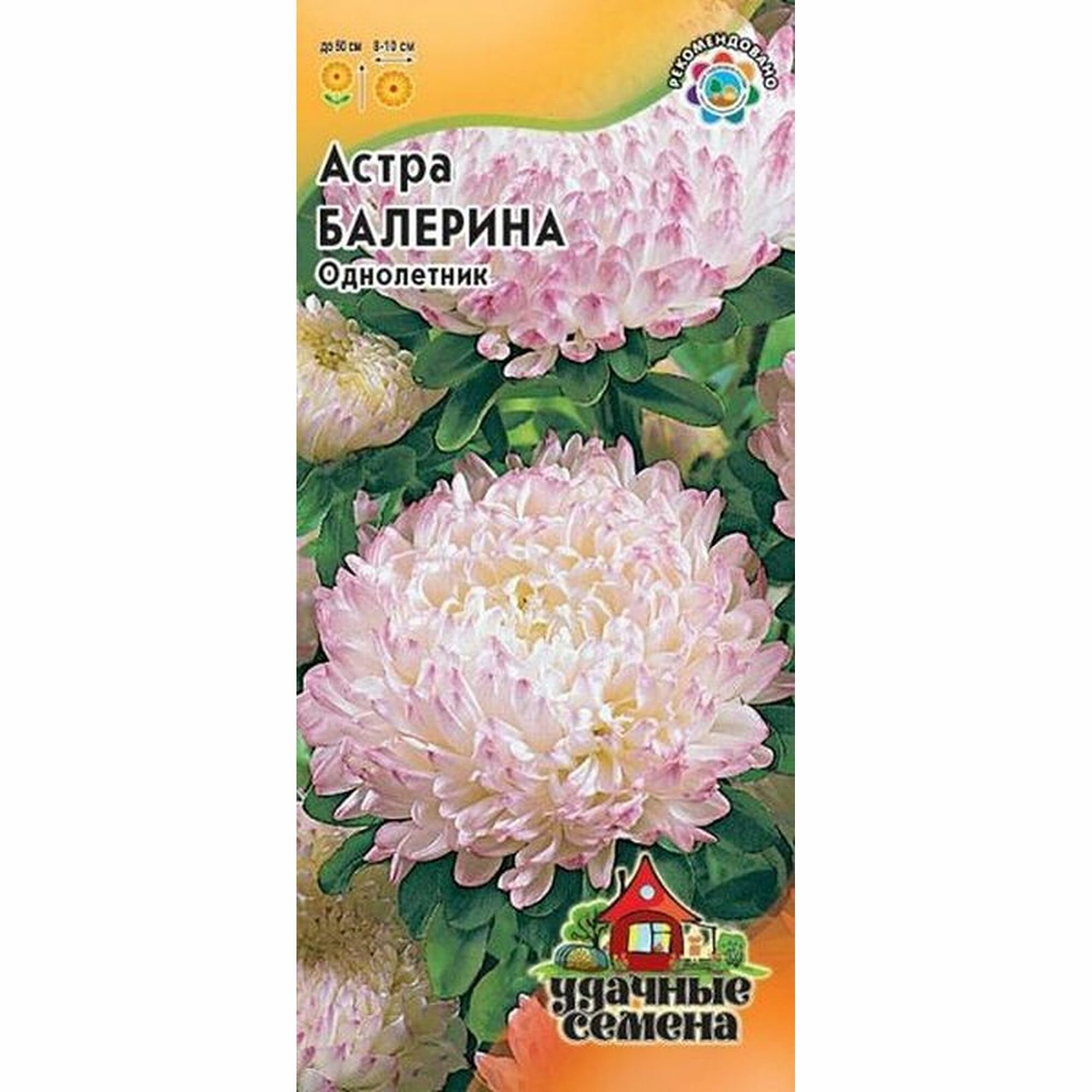 Семена Астра Балерина пионовидное однолетник Удачные семена 1 пачка - 0.3г семян