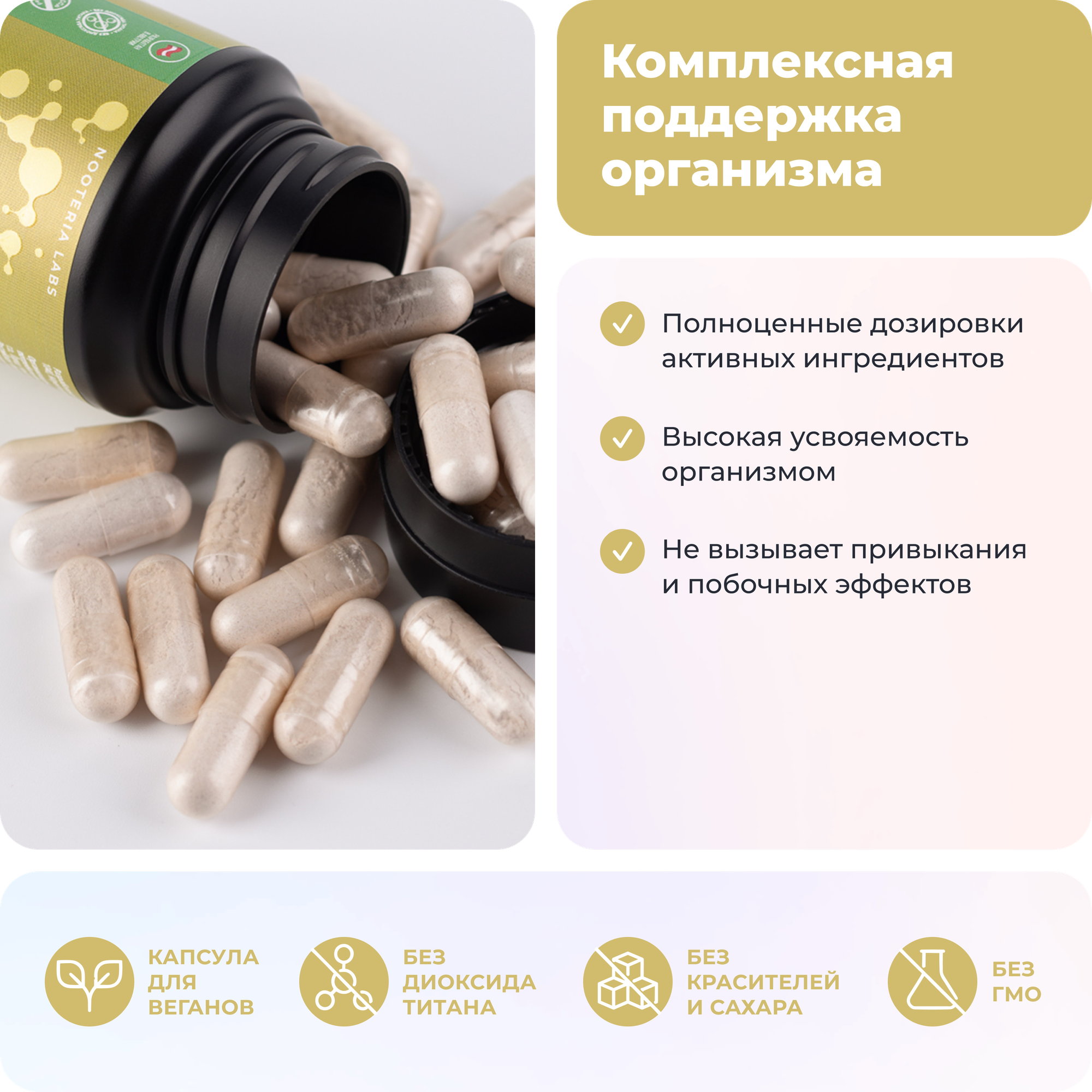 Омега-3 БАД Nooteria Labs Immune Booster для иммунитета, мультивитаминный комплекс