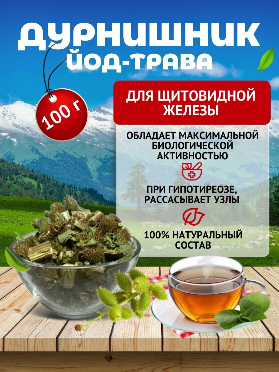 Дурнишник трава при гипотиреозе при воспалении щитовидной железы Травы Алтая