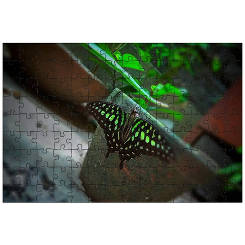 фото Магнитный пазл 27x18см."бабочка, крыло, красочный" на холодильник lotsprints