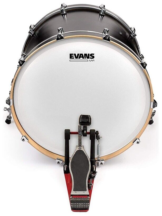 EVANS BD18UV1 Пластик 18