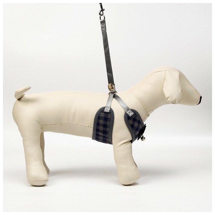 Шлейка для собак Пижон мягкая, с поводком 120 см, размер XL, шея 38-52, грудь 42-60 см, серый - фотография № 2